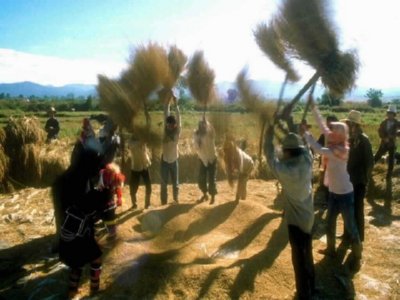SIEGA (3)  CAMPESINOS